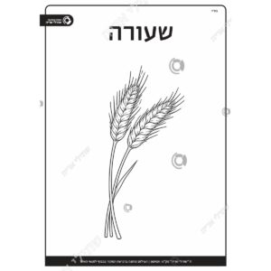 תמונת מוצר: 009211 2