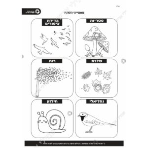 תמונת מוצר: 009803