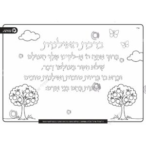 תמונת מוצר: 009886