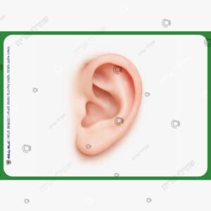 תמונת מוצר: product mv6lwhun mv6lwi7b5iva