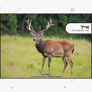 תמונת מוצר: בעלי חיים עם קרניים mt8imxg95uk1 p2 mt8in1awxi9y