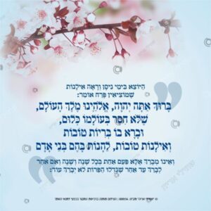 תמונת מוצר: ברכת האילנות mvjer5m4qvr5 mvjer714incg