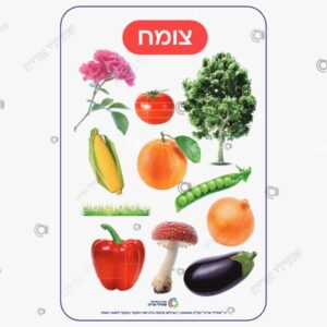 תמונת מוצר: דרגות בבריאה mtsdh35lklvn mtsdh488nx36