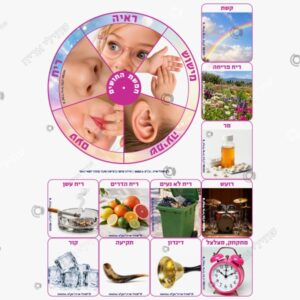 תמונת מוצר: חושים עם גלגלת mv3pirh8y0rz mv3pkfn12qnv