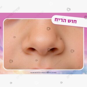 תמונת מוצר: חמשת החושים mv3pkkna03fe mv3plg9fmt8w
