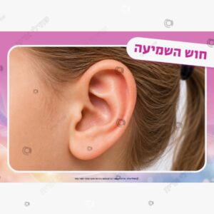 תמונת מוצר: חמשת החושים mv3pkkna03fe p2 mv3pli18fvsw