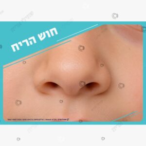 תמונת מוצר: חמשת החושים מעון mv3q0bi9ht7u mv3q1wowvcze