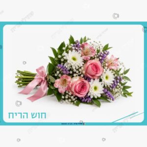 תמונת מוצר: חמשת החושים מעון mv3q0bi9ht7u p2 mv3q1z9sam7z