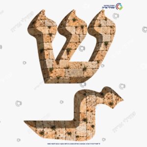 תמונת מוצר: ירושלים mvgmnnpjfv7q p2 mvgmnqie9e4t