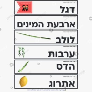 תמונת מוצר: כרטיסי אורינות בנושא סוכות mt9xf583a3lt p2 mt9xf864fcdl