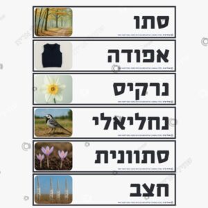 תמונת מוצר: כרטיסי אורינות בנושא סתו mtbf48b6baq4 mtbf49ur4gqs