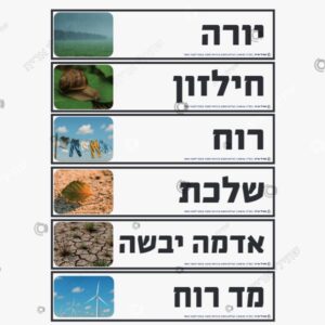 תמונת מוצר: כרטיסי אורינות בנושא סתו mtbf48b6baq4 p2 mtbf4bx208wk