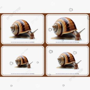 תמונת מוצר: לוטו גדלים סתו mtbf878c8h1e p2 mtbf8by0mnf8