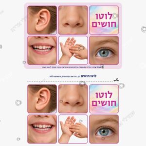 תמונת מוצר: לוטו חושים mv3phgptsqks mv3pi97n05tm
