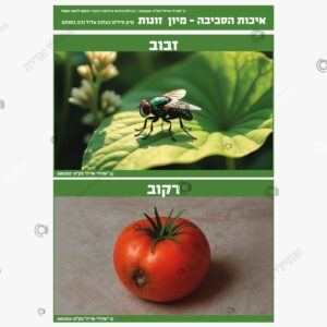 תמונת מוצר: מיון צליל זהה בסוף מילה msysmjs5prrn msysnb1rk5se
