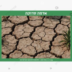 תמונת מוצר: מילים הקשורות לסתו mtbazla9f7ni mtbazn8yv96n