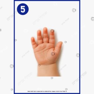 תמונת מוצר: מספר 5 mv9ffw092taq p2 mv9ffzrbhsy4