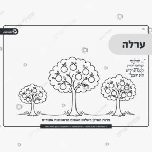 תמונת מוצר: מצוות התלויות בארץ mvjep43wdals p2 mvjep8onmzkb