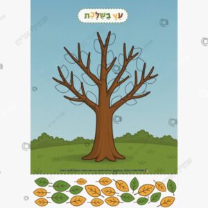 תמונת מוצר: משחק שלכת mtbf1s649tp5 mtbf1ttv6im2