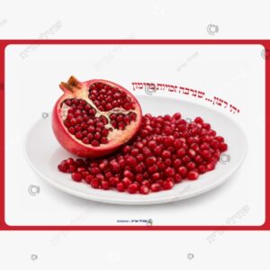 תמונת מוצר: סימני ראש השנה תמונות mt9wb4hlbubw p2 mt9wb7sc36c2