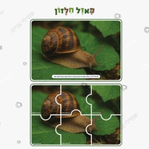 תמונת מוצר: פאזל חילזון mtbgnitrji6t mtbgnk0bk8y6