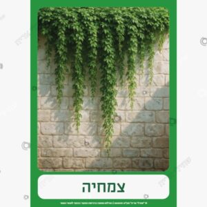 תמונת מוצר: צמחיה mt5g0vhvgzpb mt5g0wmpnqpf
