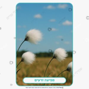 תמונת מוצר: רוח שימושים ותופעות mtbgqstglp94 p2 mtbgqxbpuca3