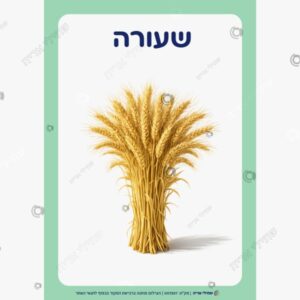 תמונת מוצר: שבעת המינים mu3pr1b4lu6z mu3pr2hrk8ok