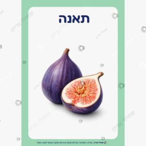 תמונת מוצר: שבעת המינים mu3qprxktp9m mu3qpt2fpxd4