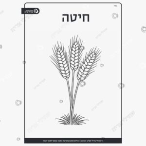 תמונת מוצר: שבעת המינים ש ל mu3suytoqx8m mu3sv0ph29cq