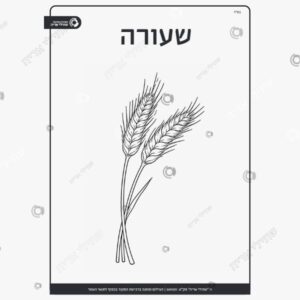 תמונת מוצר: שבעת המינים ש ל mu3suytoqx8m p2 mu3sv3gorkyg