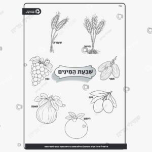 תמונת מוצר: שבעת המינים של mu3rdefvqe3j mu3rdfug36n2