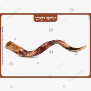 תמונת מוצר: שופרות mt9x0ieo62p4 p2 mt9x0le4soz2