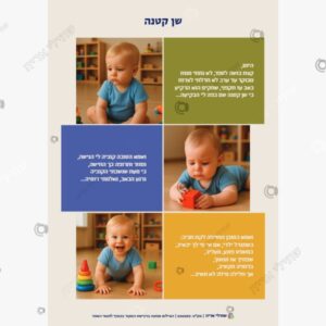 תמונת מוצר: שן קטנה mt6wr8rk143d mt6wra92amlr