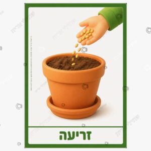 תמונת מוצר: תהליך הנבטה muwkaewownuv muwkafvhraq3