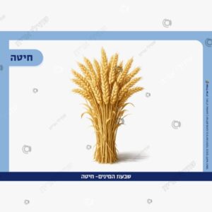 תמונת מוצר: תמונות שבעת המינים mvjeqa44iqxt mvjeqefh7zvo
