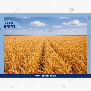 תמונת מוצר: תמונות שבעת המינים mvjeqa44iqxt p2 mvjeqhmz0hcu